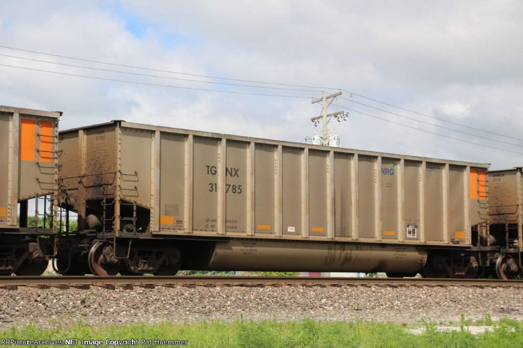 TGNX 31785