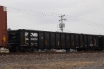 NS 210597