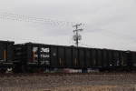 NS 210598
