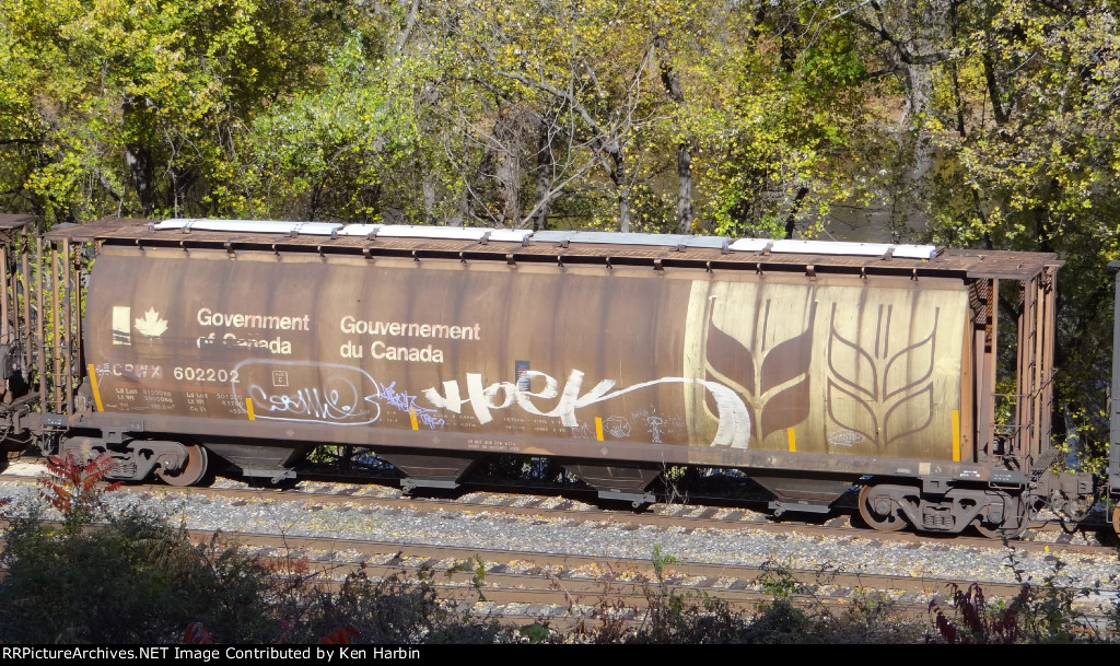 CPWX 602202