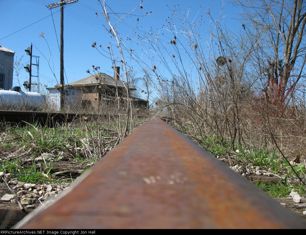 Weeds control the line