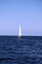 Sailboat