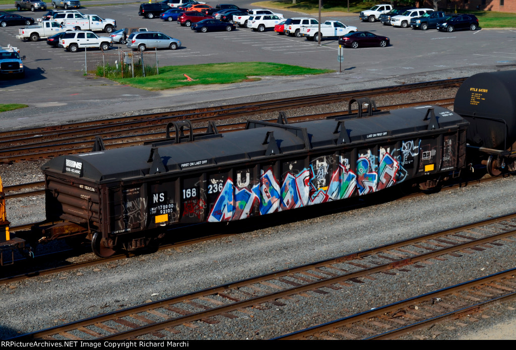 NS 168236