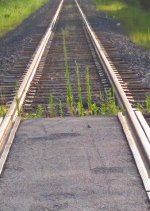 Ex-B&O track and ROW, looking west