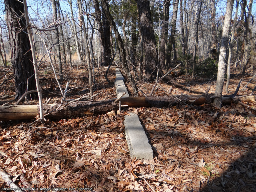 West Jersey & Seashore's Abandoned Wildwood Branch