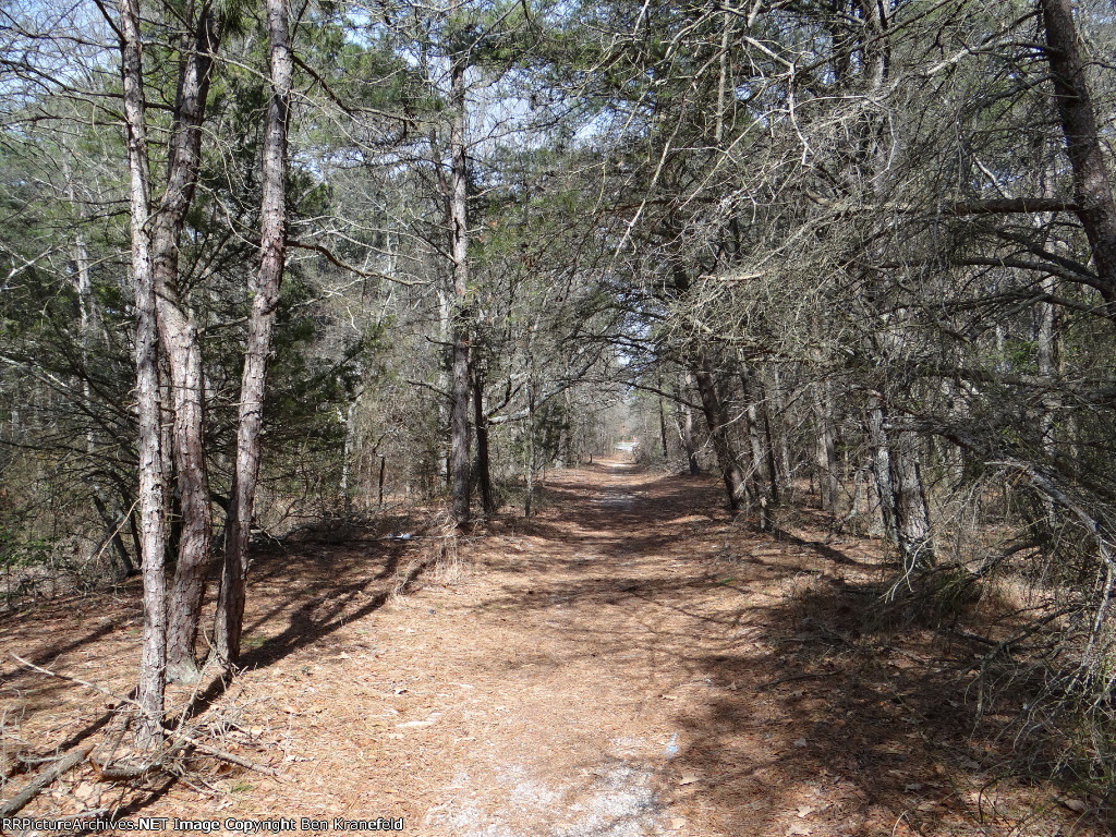 Vest Jersey & Seashore's Abandoned Wildwood Branch