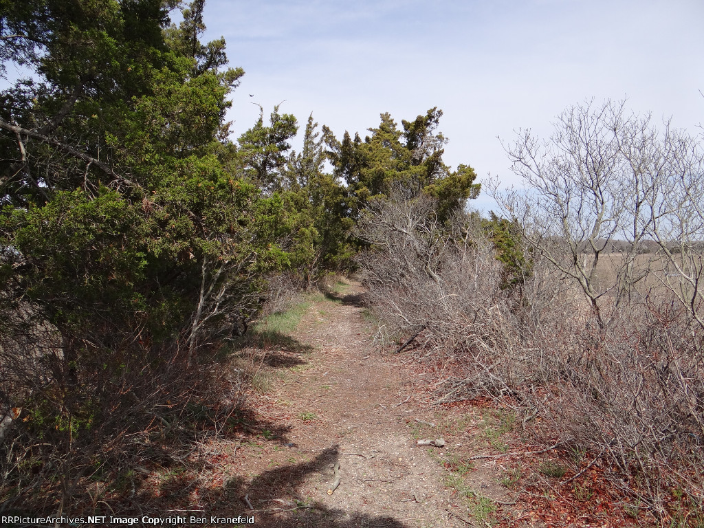 West Jersey & Seashore's Abandoned Wildwood Branch
