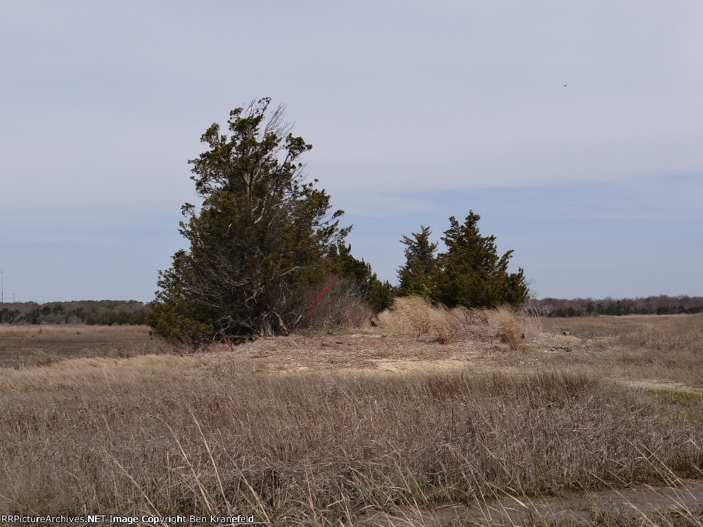 West Jersey & Seashore's Abandoned Wildwood Branch