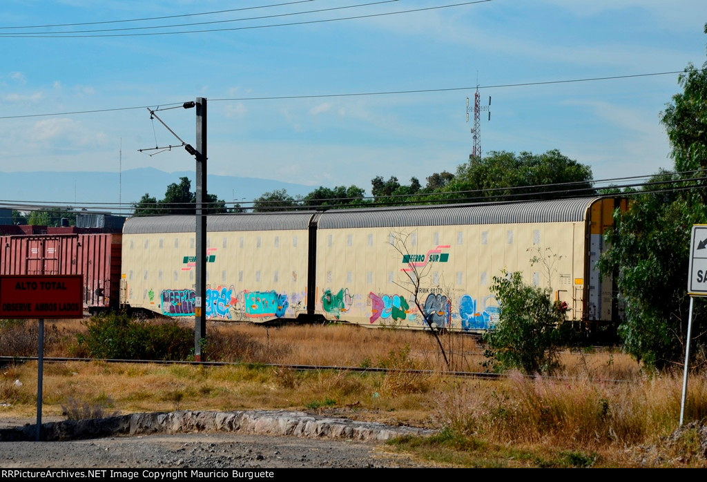 WRWK Ferrosur Auto Max