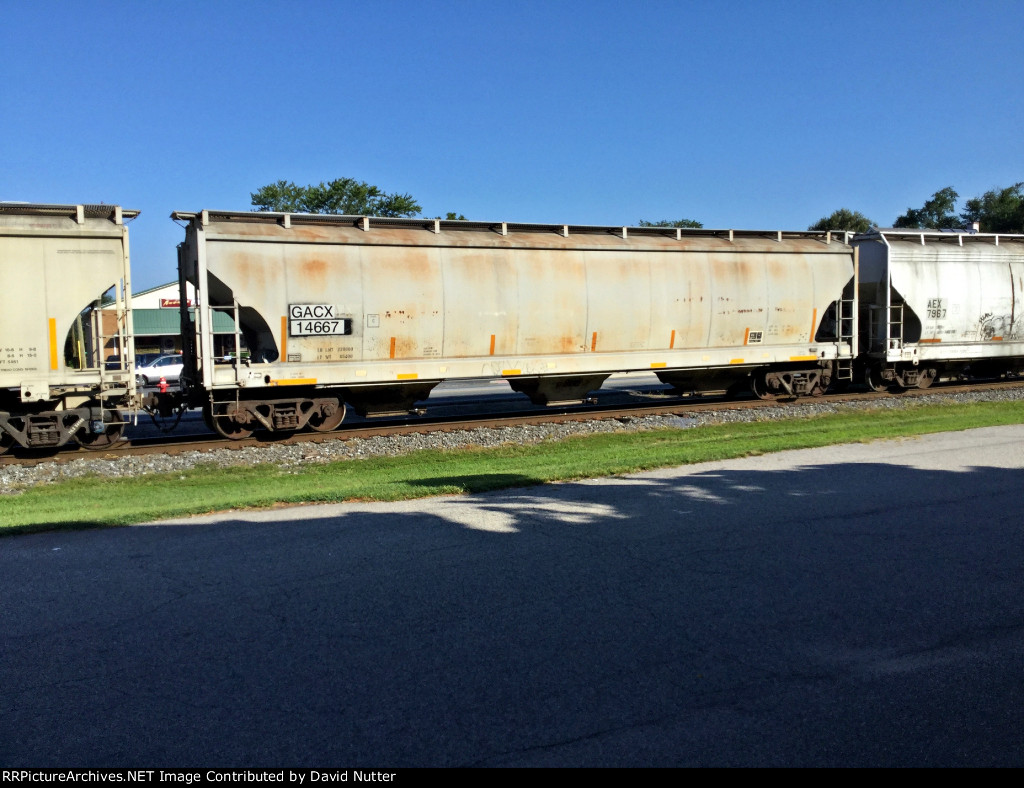 GACX 14667 is new to RRPA