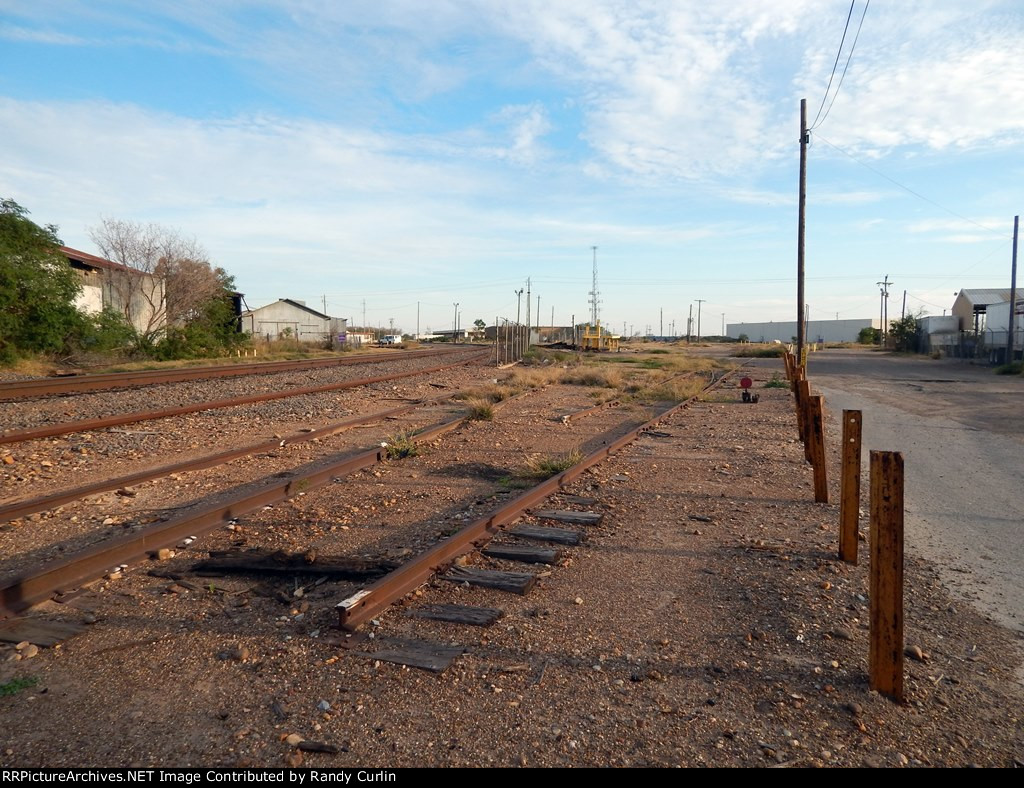 Texas Mexican Downtown Yard and Sjops