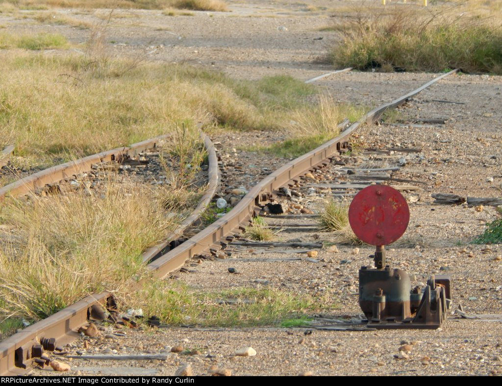 Texas Mexican Downtown Yard and Shops