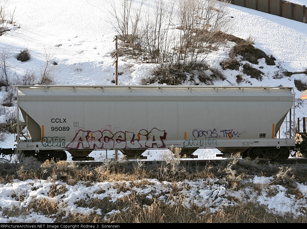 CCLX 95089