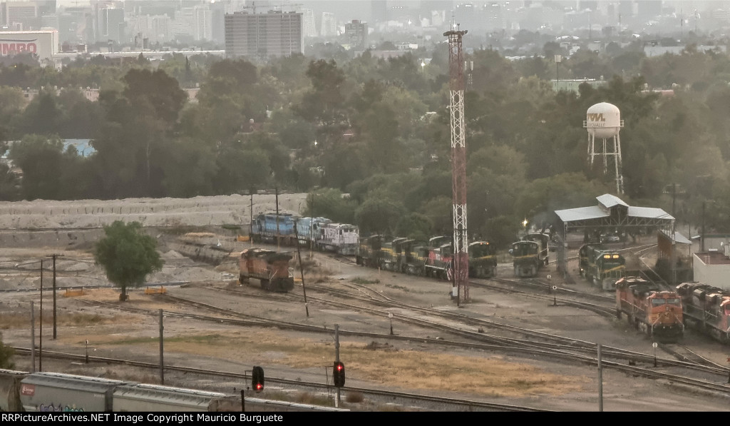 BNSF, Ferromex, FTVM Locomotives