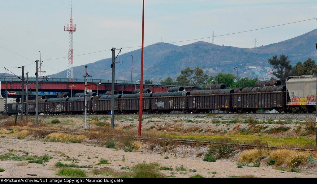 Ferromex Gondolas with steel wire load