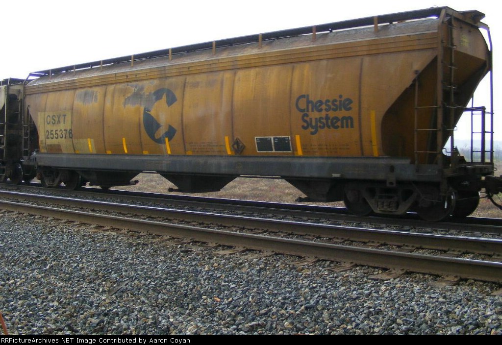 CSX 255376 still wearing the cat