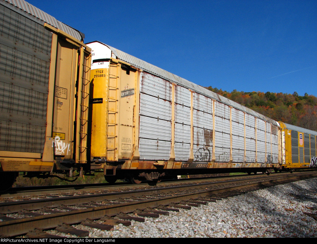 TTGX 255003