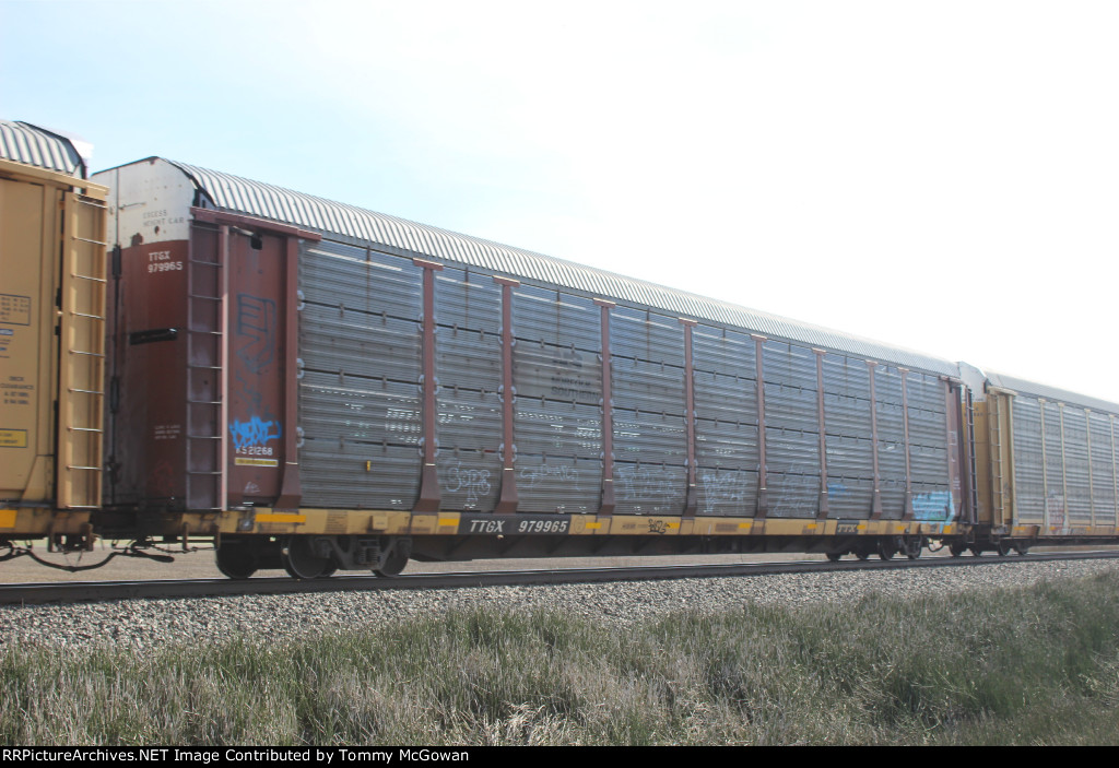 TTGX 979965