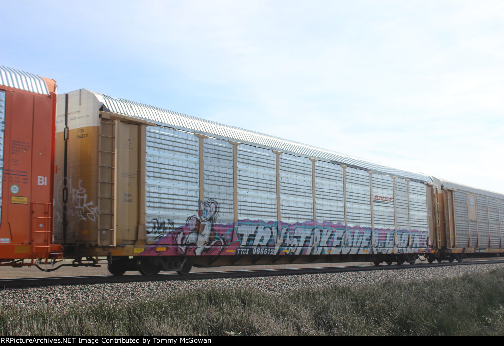 TTGX 965512