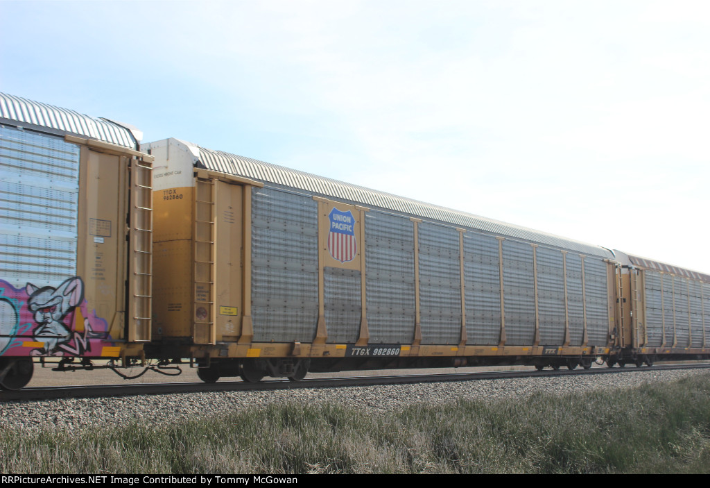 TTGX 982860