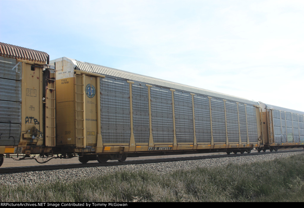 TTGX 987051