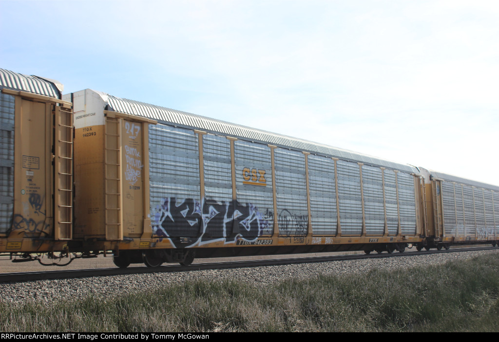 TTGX 942393