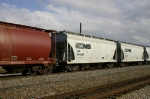 NS 294297