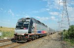 NJT ALP45DP pushing a Comet V Set passed DeKorte Park