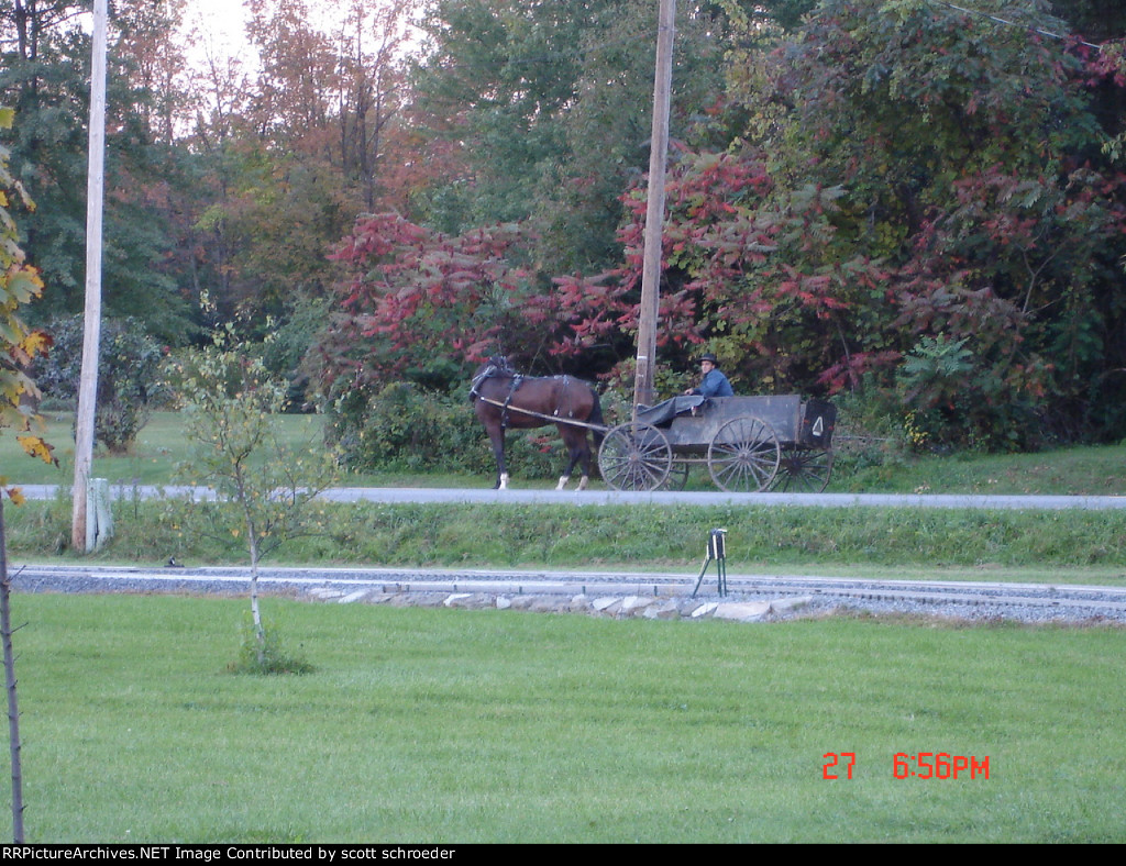 The Amish come to visit