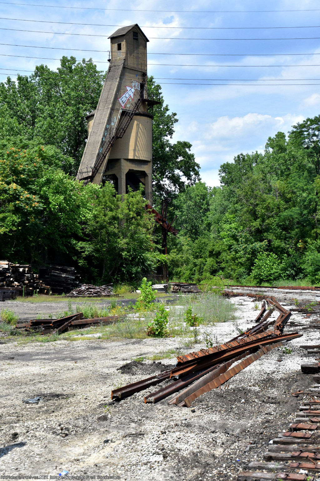 What will become of you?