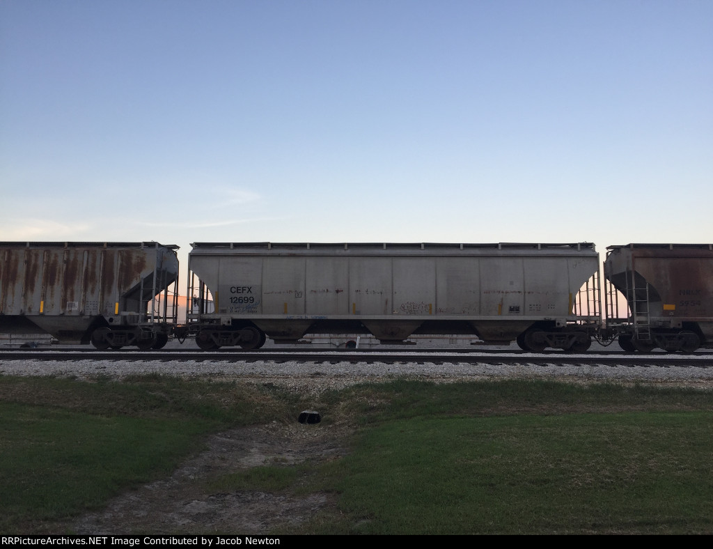 CEFX 12699