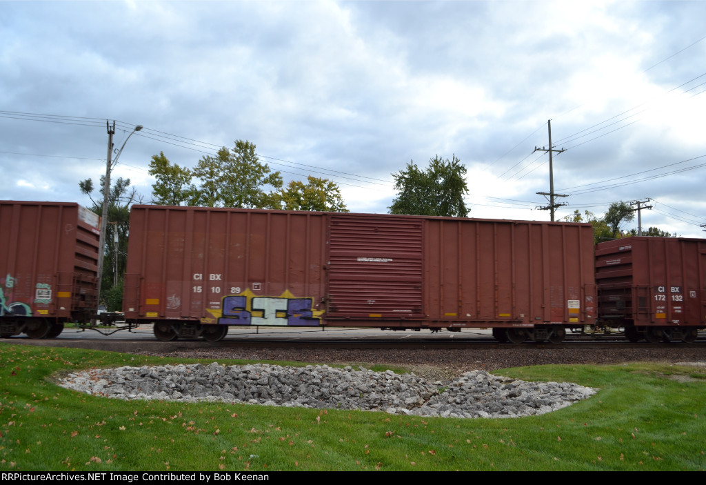 CIBX 151089