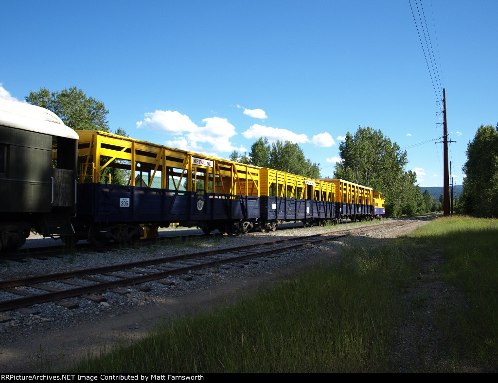 Lions Club Train cars