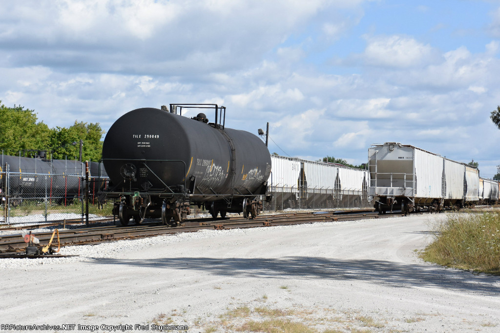 TILX 290049 runs free in her first appearance on rrpa.