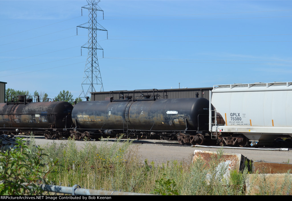 CGTX 29123