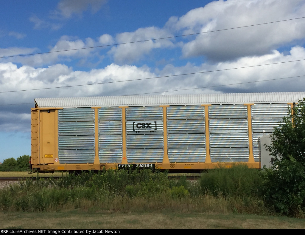ETTX 710394