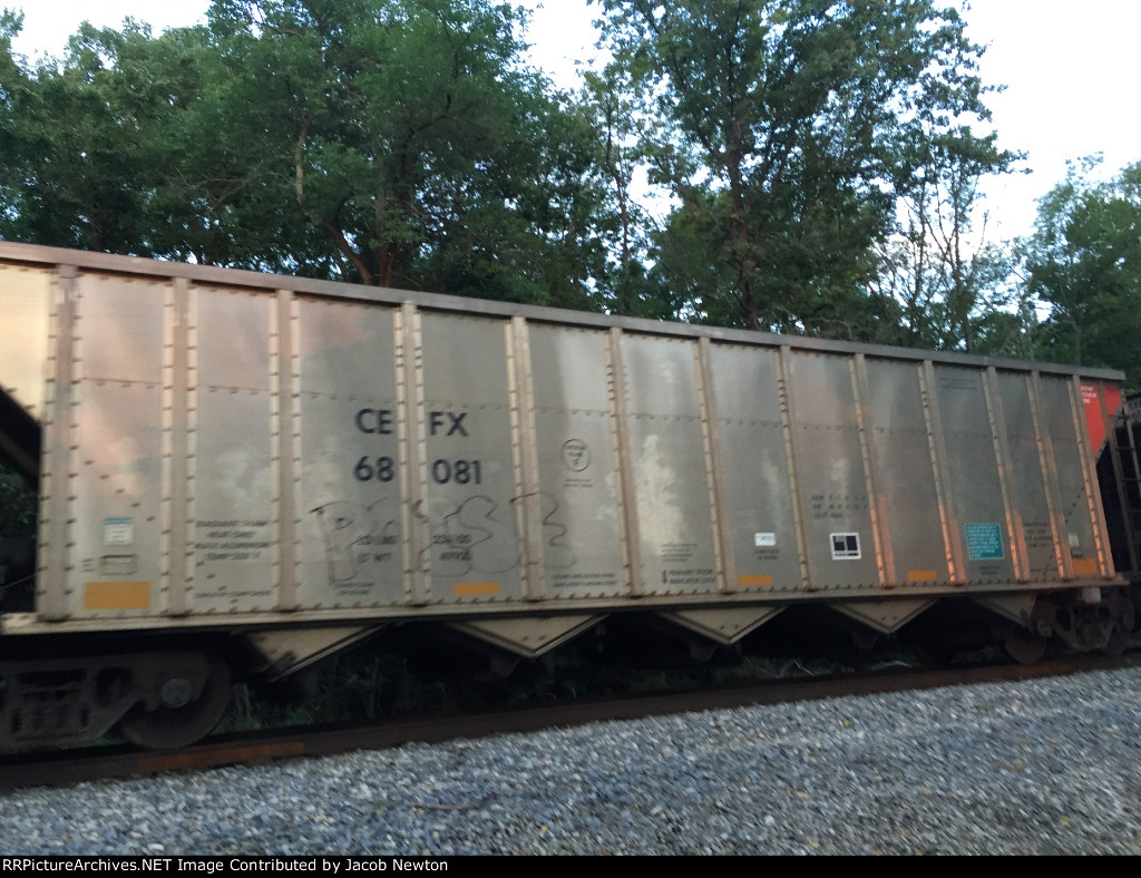 CEFX 68081
