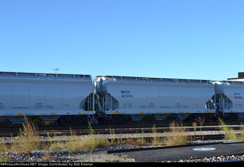 MOCX 423246