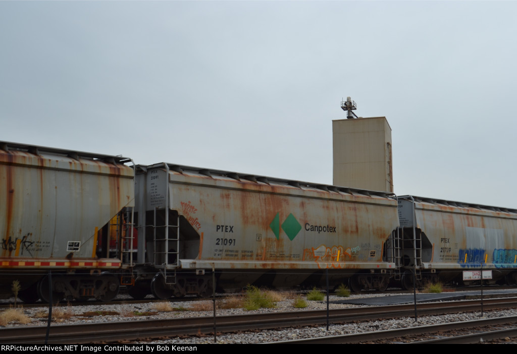 PETX 21091