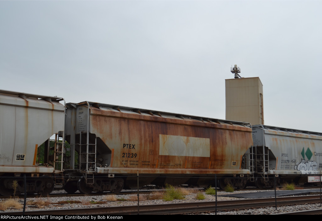PETX 21239