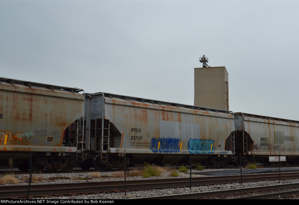 PETX 21739