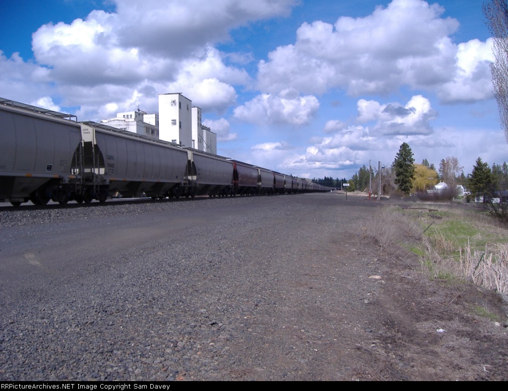 thats a lotta grain.