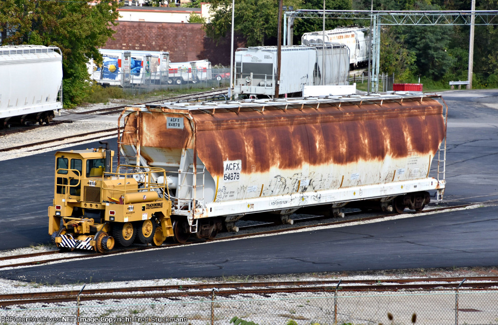 ACFX 64878 has been on the property "forever".