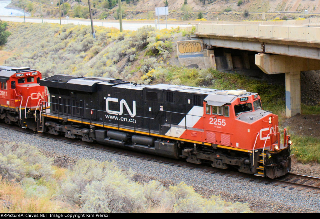 CN 2255
