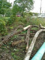 Crawfordsville Diamond area