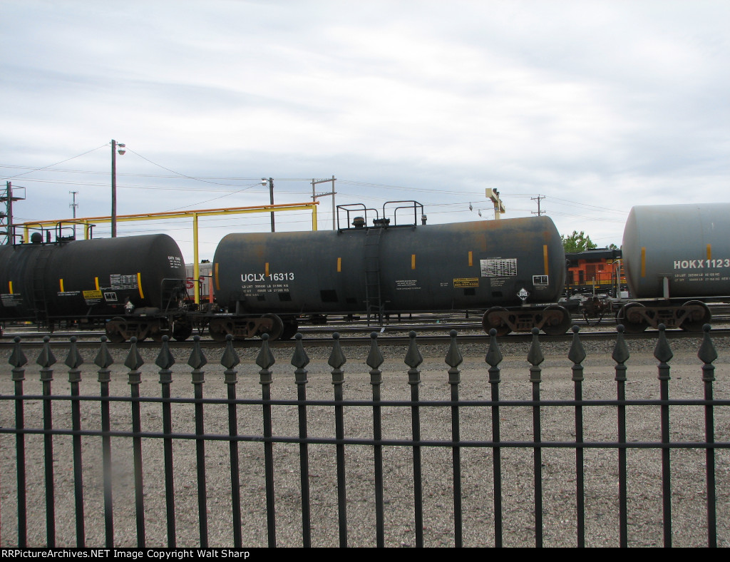 UCLX 16313