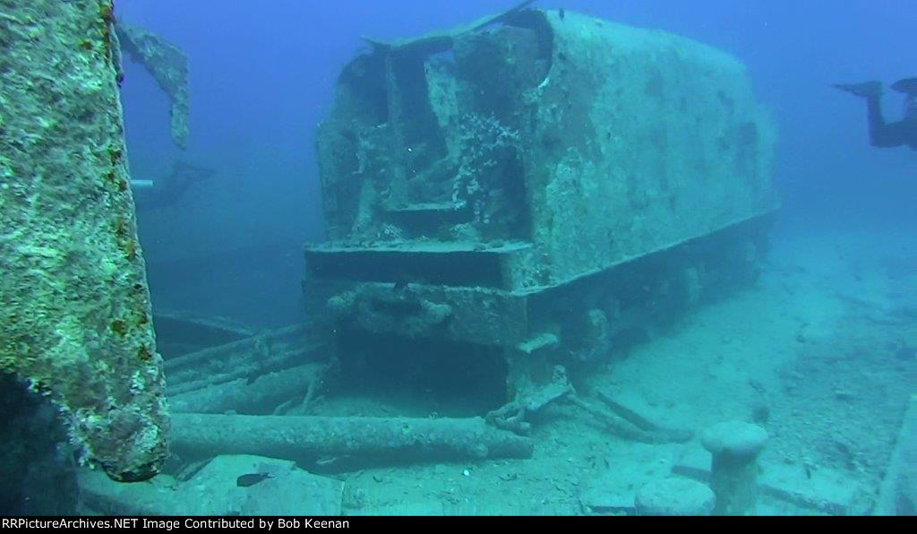 Found of the coast of New Jersey