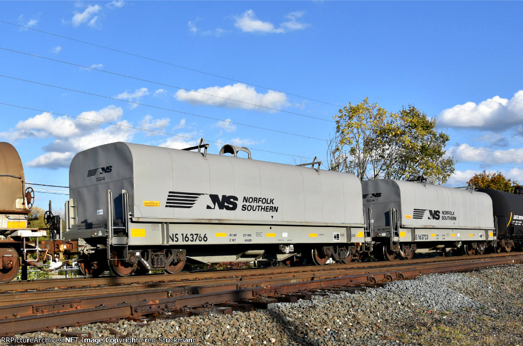 NS 163766 & 163723 are both new to rrpa.