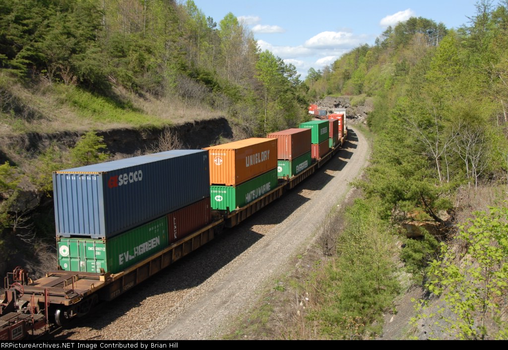 Colors On The Rathole