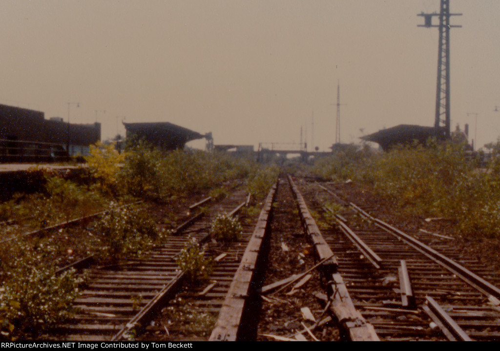 Woodhaven track level